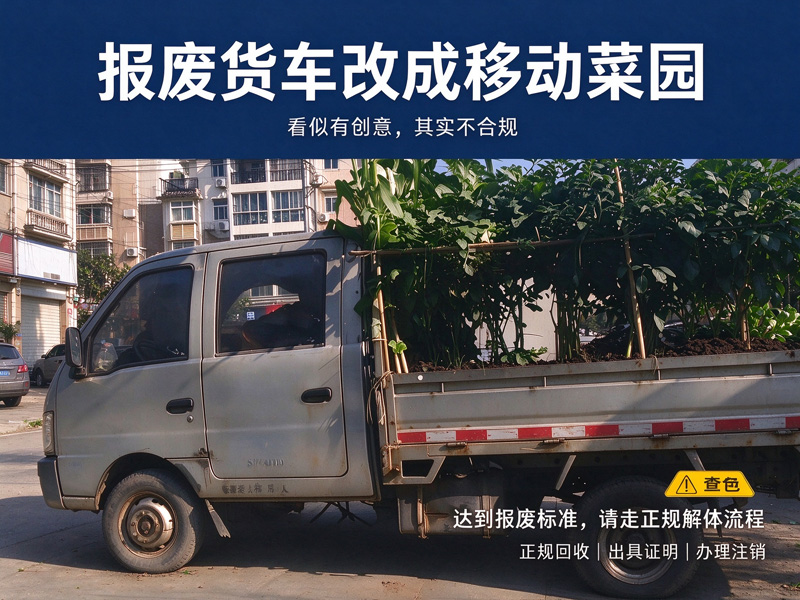 石家庄恒恩二手车 | 报废货车改成“移动菜园”，图个新鲜还是留了隐患？报废车辆必须走正规解体流程